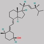 Dihydrotachysterol EP Impurity B CAS#: 65377-91-5