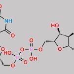 Diquafosol Impurity 3 CAS#: 26184-65-6
