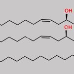 Diricinoleoyl-stearoyl-glycerol CAS#: 303082-20-4