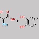 Droxidopa Impurity Mixture CAS#: N/A