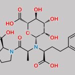 Enalaprilat N-Glucuronide CAS#: N/A