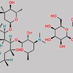 Erythromycin lactobioate B CAS#: N/A