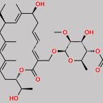 Fidaxomicin Impurity B CAS#: N/A