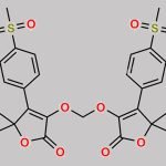 Firocoxib Impurity 2 CAS#: N/A