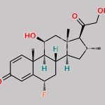 Fluocortolone Monohydrate CAS#: 910908-82-6