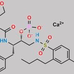 Fosamprenavir n-butyl Isomer CAS#: N/A
