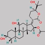 Fusidic Acid EP Impurity D CAS#: N/A