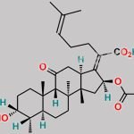 Fusidic Acid EP Impurity H CAS#: 16711-91-4