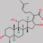 Fusidic Acid EP Impurity I CAS#: 5951-83-7