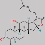 Fusidic Acid EP Impurity J CAS#: 13011-12-6