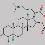 Fusidic Acid EP Impurity L CAS#: 74048-41-2