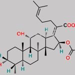 Fusidic Acid CAS#: 6990-06-3
