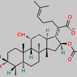 Fusidic Acid Sodium Salt CAS#: 751-94-0
