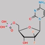 Gemcitabine Monophosphate CAS#: 116371-67-6