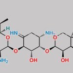 Gentamicin Impurity 6 CAS#: N/A