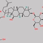 Ginsenoside Rb1 CAS#: 41753-43-9