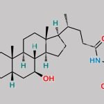 Glycoursodeoxycholic Acid CAS#: 64480-66-6