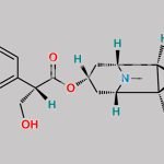 Hyoscine Butylbromide EP Impurity A CAS#: 51-34-3