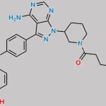 Ibrutinib Impurity 54 CAS#: 1288339-03-6