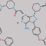 Ibrutinib Impurity 56 CAS#: N/A