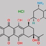 Idarubicin Hydrochloride CAS#: 57852-57-0