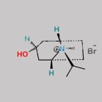 Ipratropium EP Impurity A CAS#: 58005-18-8
