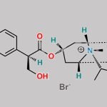 Ipratropium EP Impurity B CAS#: 58073-59-9