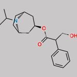 Ipratropium EP Impurity E CAS#: 22235-81-0