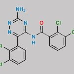 Lamotrigine Amide Impurity CAS#: 2250242-15-8
