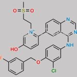 Lapatinib Impurity 2 CAS#: N/A