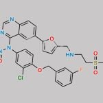 Lapatinib Nitroso Impurity 1 CAS#: N/A
