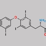 Levothyroxine EP Impurity B CAS#: 1628720-66-0
