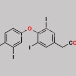Levothyroxine EP Impurity C CAS#: 51-24-1