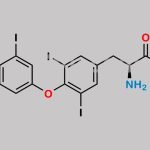 Levothyroxine Methyl Ester CAS#: 32180-11-3