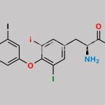 Levothyroxine N-Methylamide (USP) CAS#: 2088032-52-2