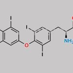 Levothyroxine Sodium CAS#: 55-03-8