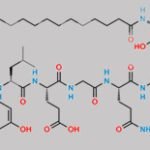 Liraglutide Impurity 9 CAS#: N/A
