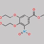 M-Erlotinib Nitro Compound CAS#: 2713768-85-3