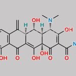 Methacycline HCl CAS#: 3963-95-9