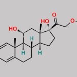Methylprednisolone Acetate EP Impurity E CAS#: 52-21-1