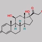 Methylprednisolone EP Impurity K CAS#: 50-24-8