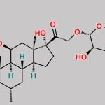 Methylprednisolone Glucuronide CAS#: 805219-19-6