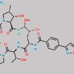 Micafungin CAS#: 235114-32-6
