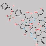 Micafungin Impurity 14 CAS#: N/A