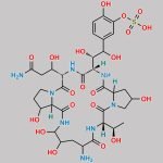 Micafungin Impurity 15 CAS#: 208511-83-5