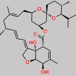 Milbemycin EP Impurity C CAS#: 77855-81-3