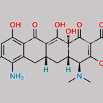 Minocycline Impurity 14 CAS#: N/A