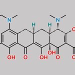 Minocycline Impurity 22 CAS#: 149934-26-9