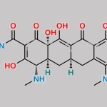Minocycline Impurity 35 CAS#: 81888-43-9