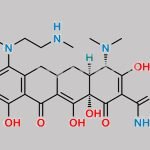 Minocycline Impurity 8 CAS#: N/A